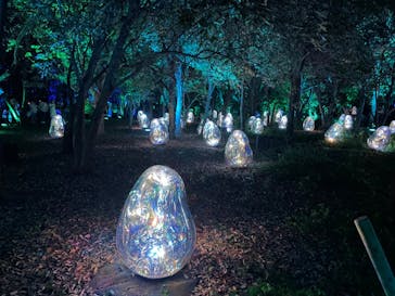 チームラボ ボタニカルガーデン 大阪に投稿された画像（2022/9/26）