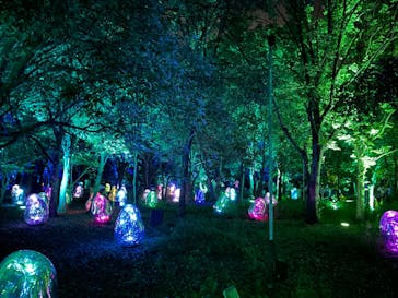 チームラボ ボタニカルガーデン 大阪に投稿された画像（2022/9/26）