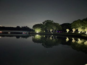 チームラボ ボタニカルガーデン 大阪に投稿された画像（2022/9/26）