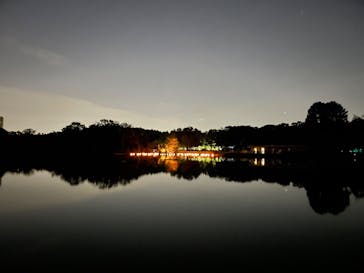 チームラボ ボタニカルガーデン 大阪に投稿された画像（2022/9/26）