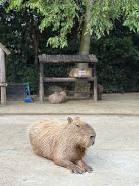 長崎バイオパークに投稿された画像（2022/9/27）