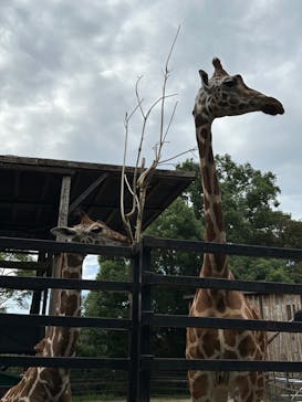 長崎バイオパークに投稿された画像（2022/9/27）