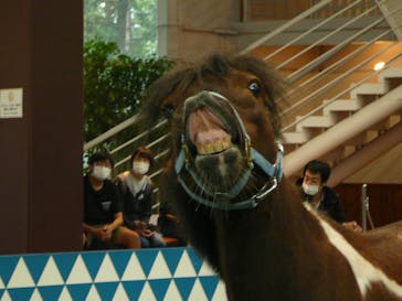 ノーザンホースパークに投稿された画像（2022/9/27）