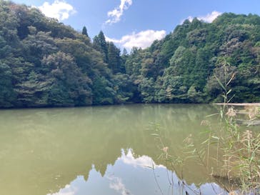 アソビュー株式会社　150881に投稿された画像（2022/9/27）