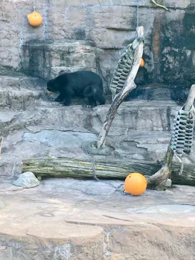 天王寺動物園に投稿された画像（2022/9/27）