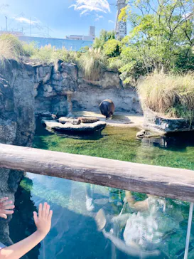 天王寺動物園に投稿された画像（2022/9/27）