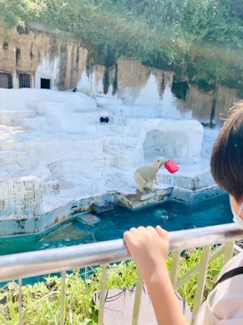 天王寺動物園に投稿された画像（2022/9/27）