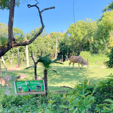 天王寺動物園に投稿された画像（2022/9/27）