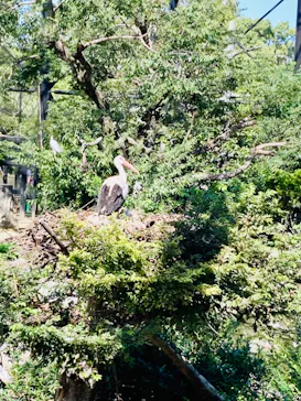 天王寺動物園に投稿された画像（2022/9/27）