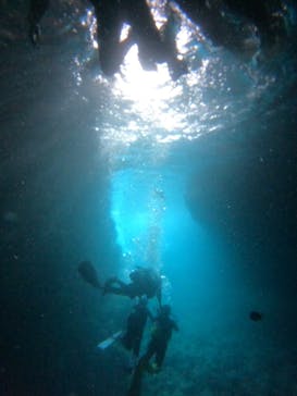 沖縄マリンサービス碧に投稿された画像（2022/9/27）