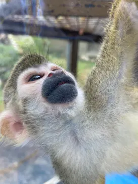 ひらかたパークに投稿された画像（2022/9/27）