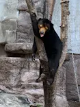 天王寺動物園に投稿された画像（2022/9/27）