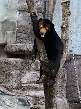 天王寺動物園に投稿された画像（2022/9/27）