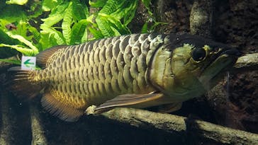 サンシャイン水族館に投稿された画像（2022/9/27）