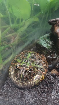 サンシャイン水族館に投稿された画像（2022/9/27）