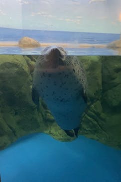 新江ノ島水族館に投稿された画像（2022/9/27）