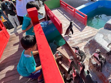 南知多ビーチランド＆南知多おもちゃ王国に投稿された画像（2022/9/27）