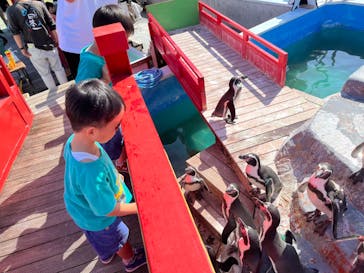 南知多ビーチランド＆南知多おもちゃ王国に投稿された画像（2022/9/27）