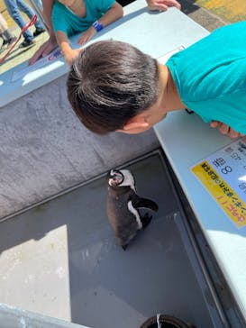 南知多ビーチランド＆南知多おもちゃ王国に投稿された画像（2022/9/27）