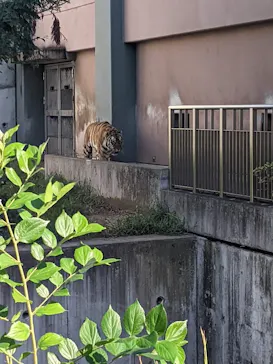 天王寺動物園に投稿された画像（2022/9/27）
