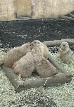 横浜・八景島シーパラダイスに投稿された画像（2022/9/27）