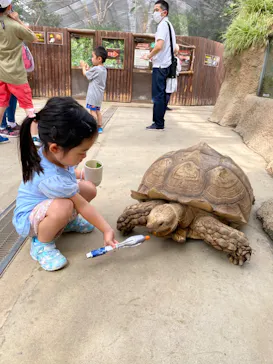 神戸どうぶつ王国に投稿された画像（2022/9/27）