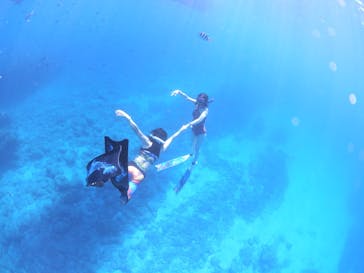 M.a.r.i.n.e Factoryに投稿された画像（2022/9/28）