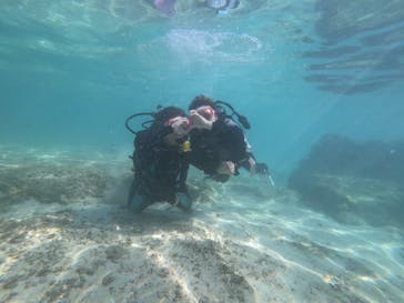 武藤潜水に投稿された画像（2022/9/28）