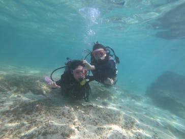 武藤潜水に投稿された画像（2022/9/28）