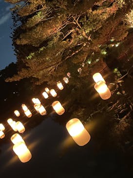 チームラボ ボタニカルガーデン 大阪に投稿された画像（2022/9/28）