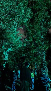 チームラボ ボタニカルガーデン 大阪に投稿された画像（2022/9/28）