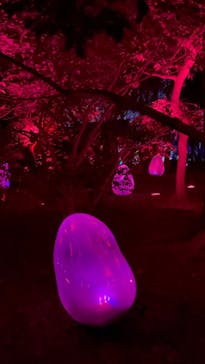 チームラボ ボタニカルガーデン 大阪に投稿された画像（2022/9/28）