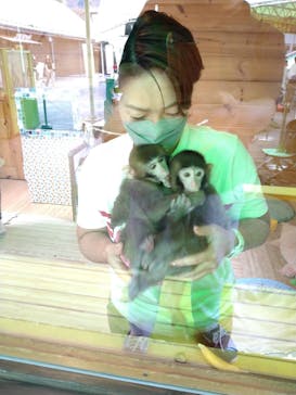 おさるランド＆アニタウン　日光さる軍団劇場に投稿された画像（2022/9/28）