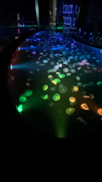 すみだ水族館に投稿された画像（2022/9/28）