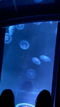 すみだ水族館に投稿された画像（2022/9/28）