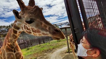 那須サファリパークに投稿された画像（2022/9/28）