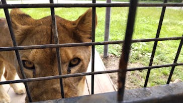 那須サファリパークに投稿された画像（2022/9/28）