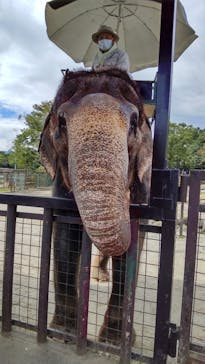 那須サファリパークに投稿された画像（2022/9/28）