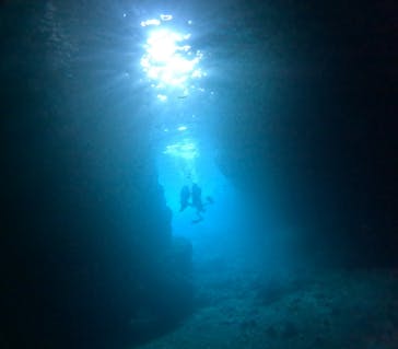 DIVING-SHOP SUNSに投稿された画像（2022/9/28）