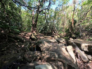 西表島 ADVENTURE PiPi（アドベンチャーピピ）に投稿された画像（2022/9/28）