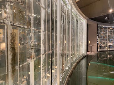 国立科学博物館に投稿された画像（2022/9/28）