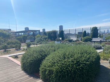 国立科学博物館に投稿された画像（2022/9/28）