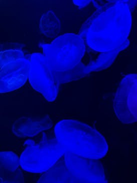 マリンワールド海の中道に投稿された画像（2022/9/28）