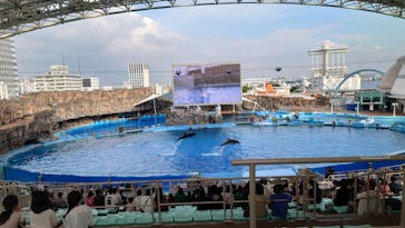 名古屋港水族館に投稿された画像（2022/9/28）