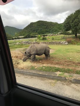 秋吉台自然動物公園 サファリランドに投稿された画像（2022/9/28）