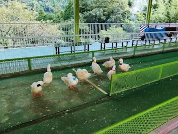 別府ケーブルラクテンチに投稿された画像（2022/9/28）