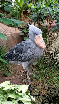 神戸どうぶつ王国に投稿された画像（2022/9/27）