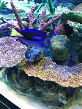 サンシャイン水族館に投稿された画像（2022/8/15）