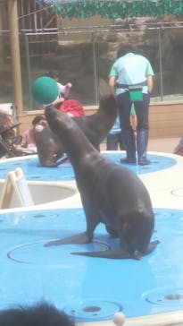 サンシャイン水族館に投稿された画像（2022/9/29）