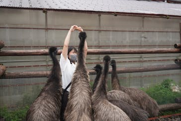 富士花鳥園に投稿された画像（2022/9/29）